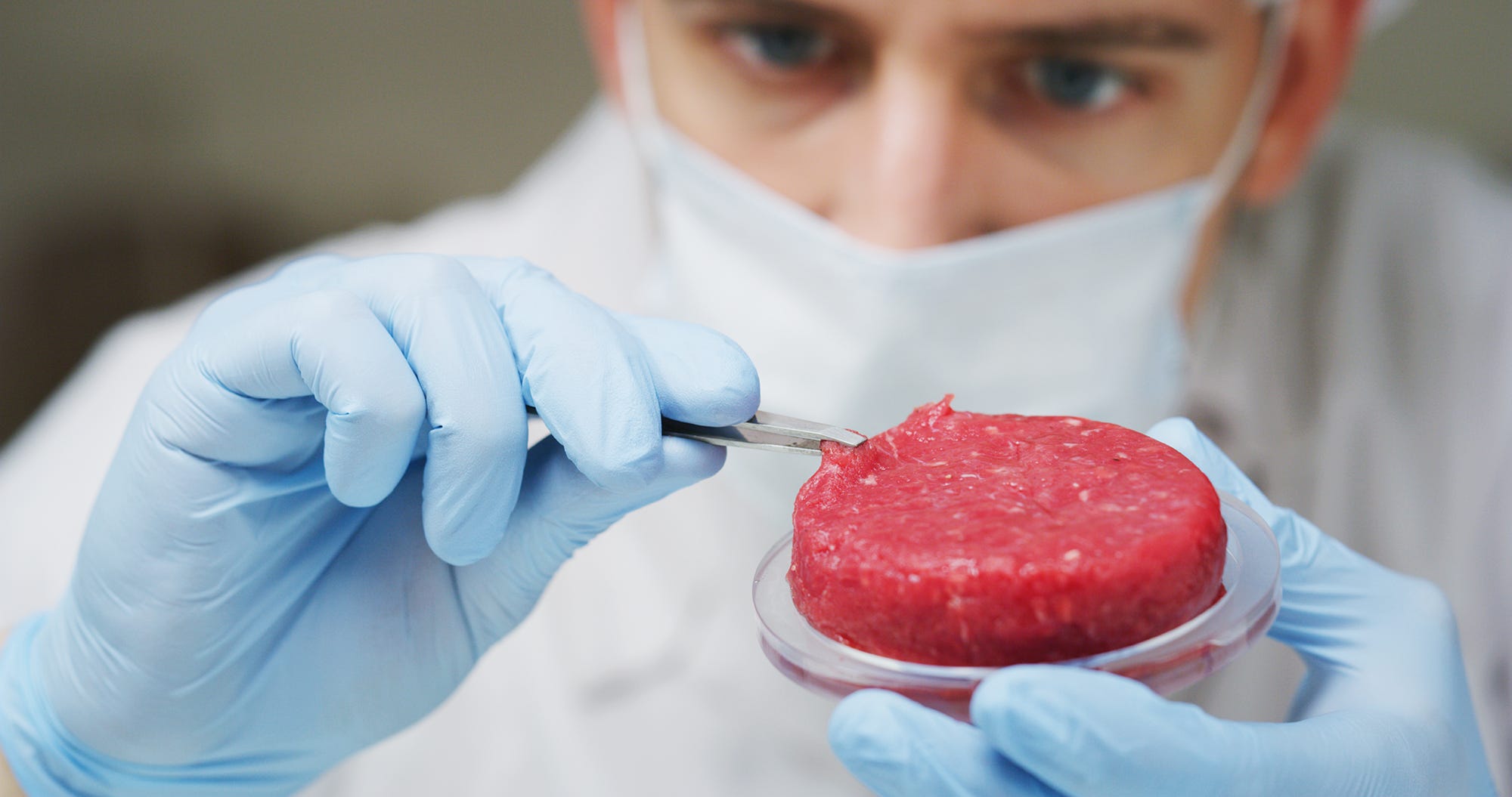How lab-grown meat could save our native animals from extinction